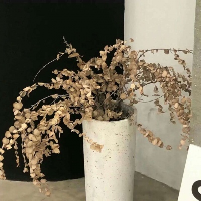 Furry绘画技巧合集兽圈群